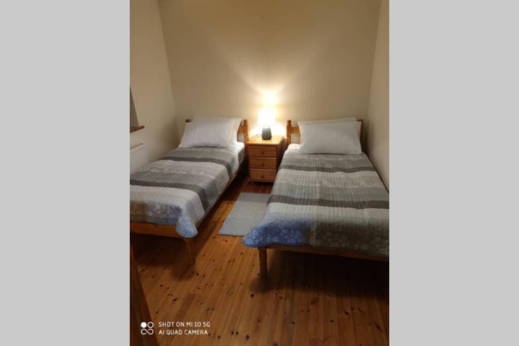 فيلا Townhouse 3 Barrow Lane Bagenalstown المظهر الخارجي الصورة